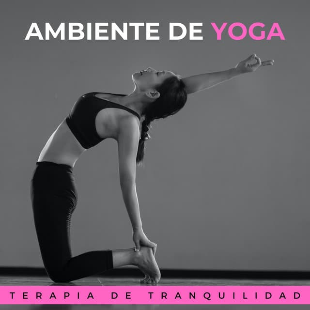 Ambiente De Yoga: Terapia De Tranquilidad - Reiki y Tai Chi Armonía