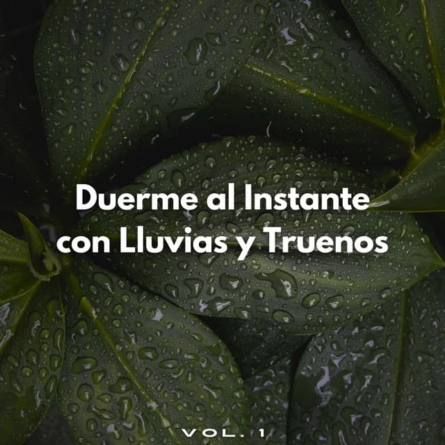 Duerme Al Instante Con Lluvias Y Truenos Vol. 1 - Sonidos de lluvia pesada