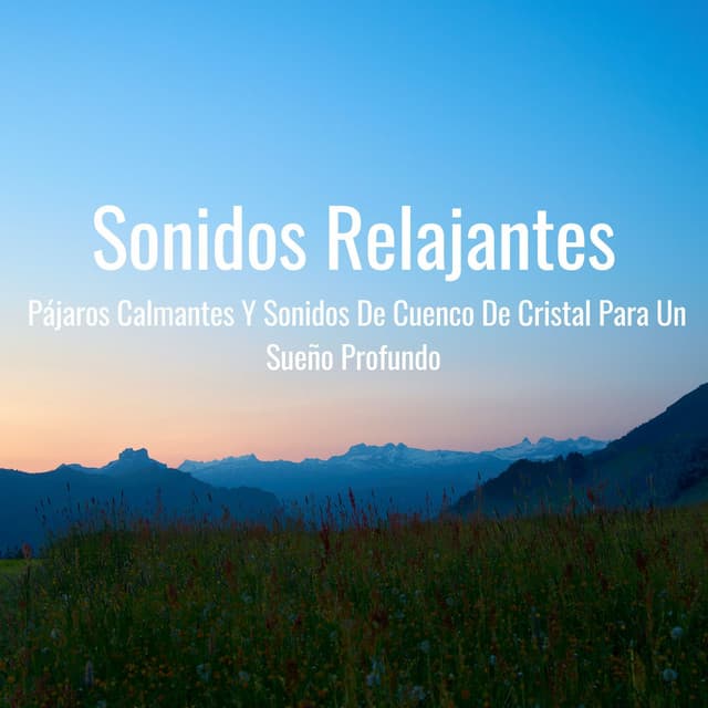 Sonidos Relajantes: Pájaros Calmantes Y Sonidos De Cuenco De Cristal Para Un Sueño Profundo - Pájaros de la noche