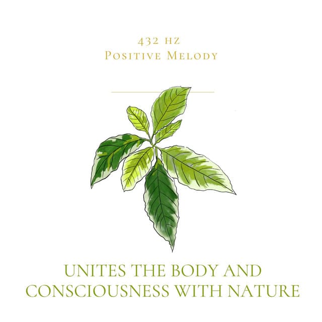 Unites the Body and Consciousness with Nature - 432 hz Positive Melody
