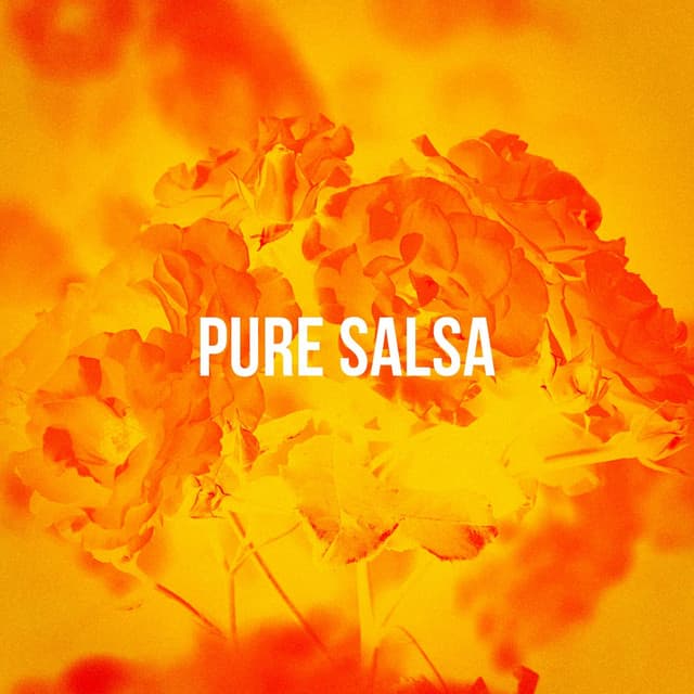 Pure Salsa - Latin Sound