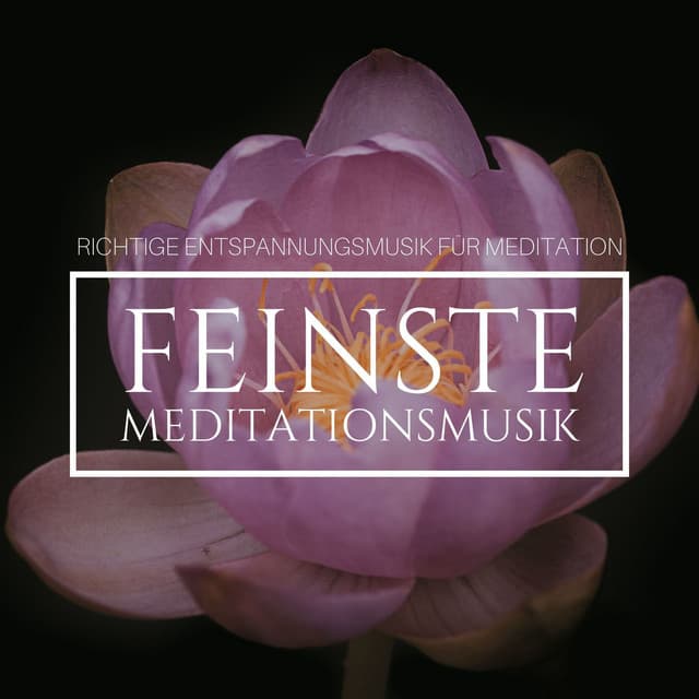 Feinste Meditationsmusik: Richtige Entspannungsmusik für Meditation - Schlafen Akademie