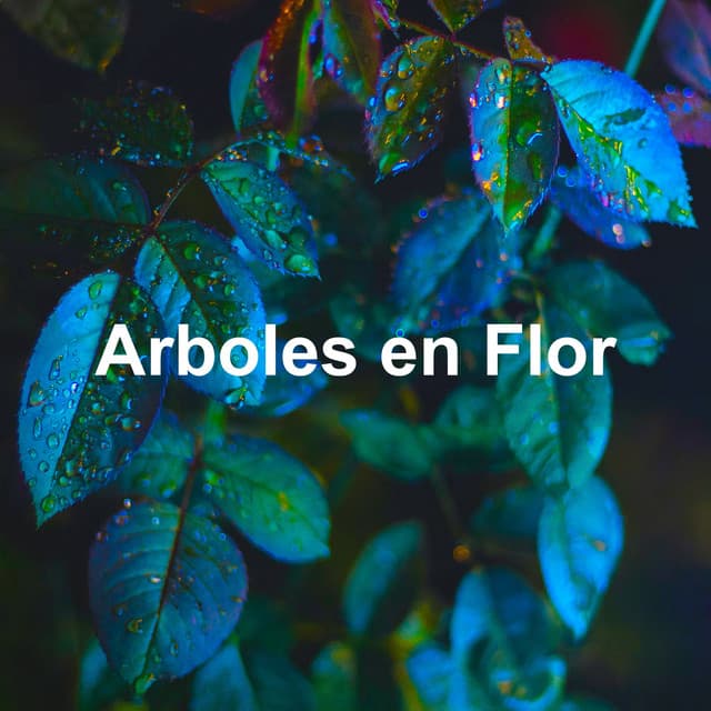 Arboles en Flor - Sonidos De Aves