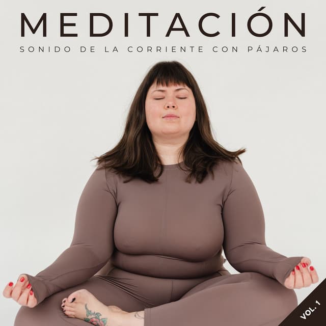 Meditación: Sonido De La Corriente Con Pájaros Vol. 1 - Efectos especiales de la madre naturaleza