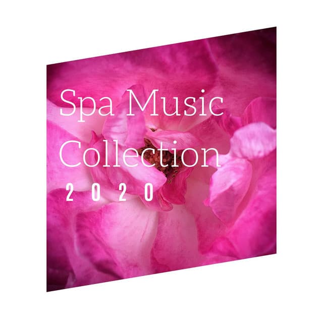 Spa Music Collection 2020: Create your own Spa Experience and Rejuvenate your Body, Mind and Spirit - Relaxation Music Therapists