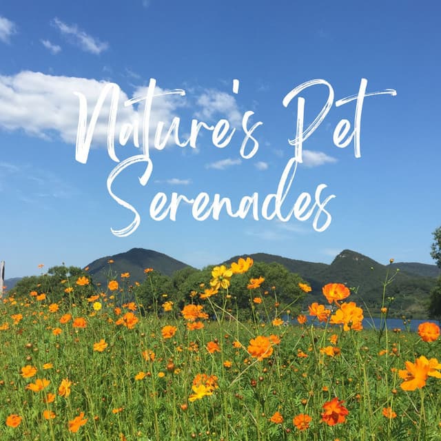 Piano Paws: Nature's Pet Serenades - PianoPinceOfAnime