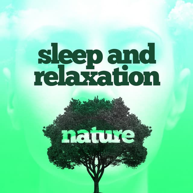 Sleep and Relaxation: Nature - Deep Sleep Nature Sounds