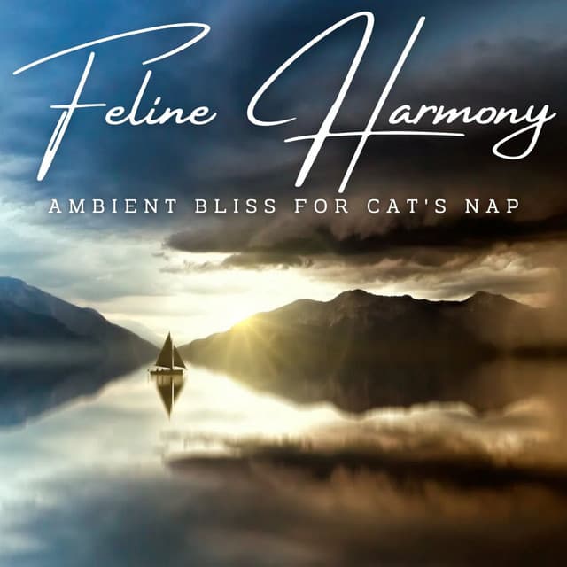 Rainy Feline Harmony: Ambient Bliss for Cat's Nap - Lightning Thunder and Rain Storm