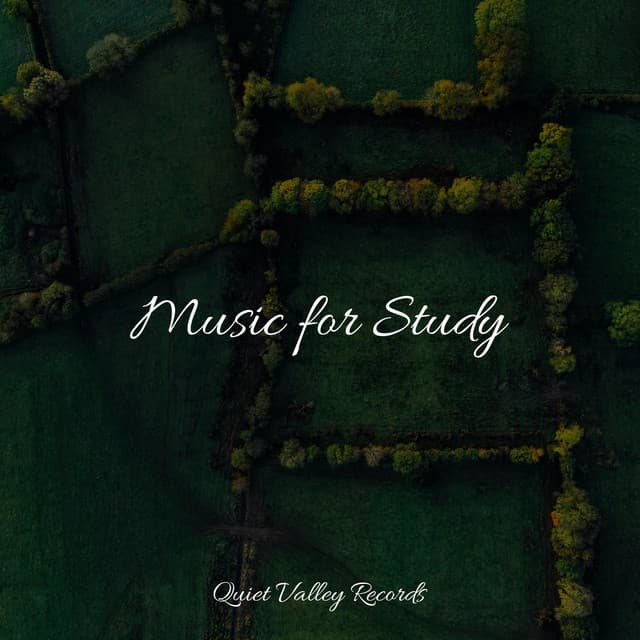 Music for Study - Sonido de lluvia