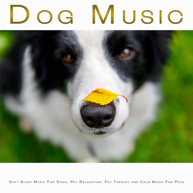 Dog Music: Soft Sleep Music For Dogs, Pet Relaxation, Pet Therapy and Calm Music For Pets - Sleeping Music For Dogs