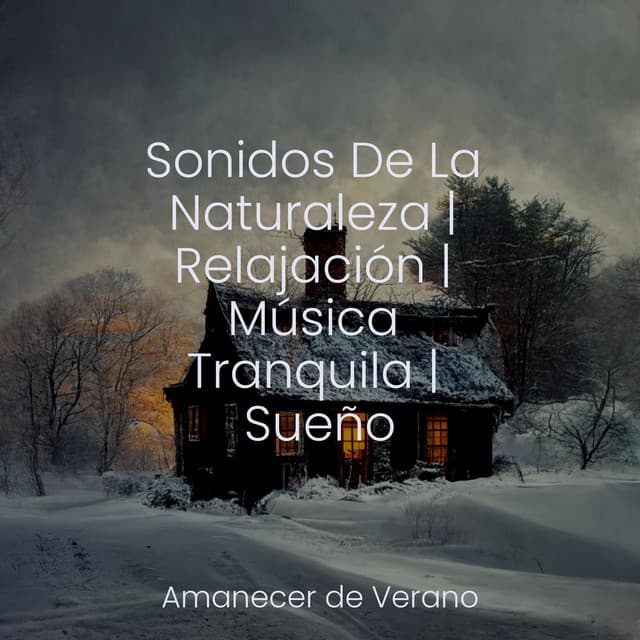 Sonidos De La Naturaleza | Relajación | Música Tranquila | Sueño - Sonido de lluvia