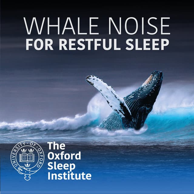 The Oxford Sleep Institute