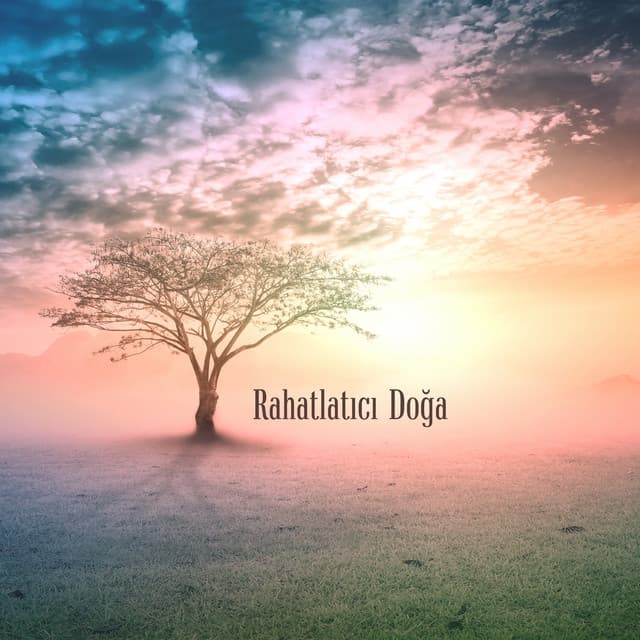 Rahatlatıcı Doğa: Uyku ve Rahatlama, Sakinleşme, Sakin Doğa Sesleri ve Müzik - Rahatlatıcı Müzik Terapi