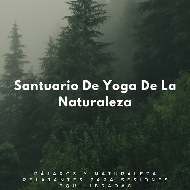 Santuario De Yoga De La Naturaleza: Pájaros Y Naturaleza Relajantes Para Sesiones Equilibradas - Radio 1 Pajaros y Ranas