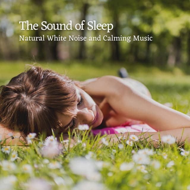 The Sound of Sleep: Natural White Noise and Calming Music - Outside HD Samples