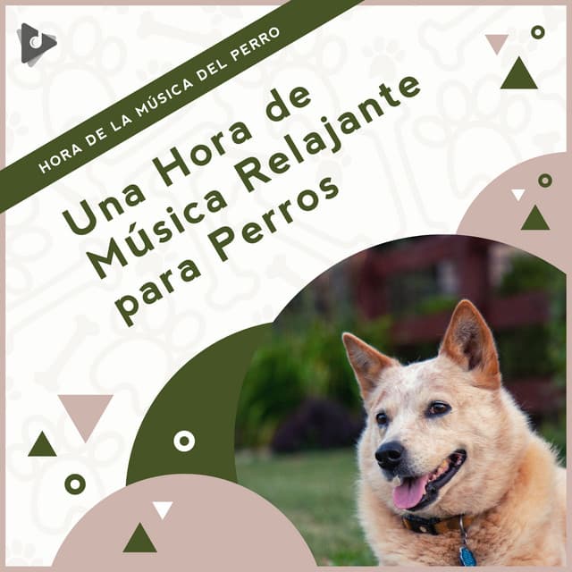 1 Hora de Música Relajante para Perros - Hora de la Música del Perro
