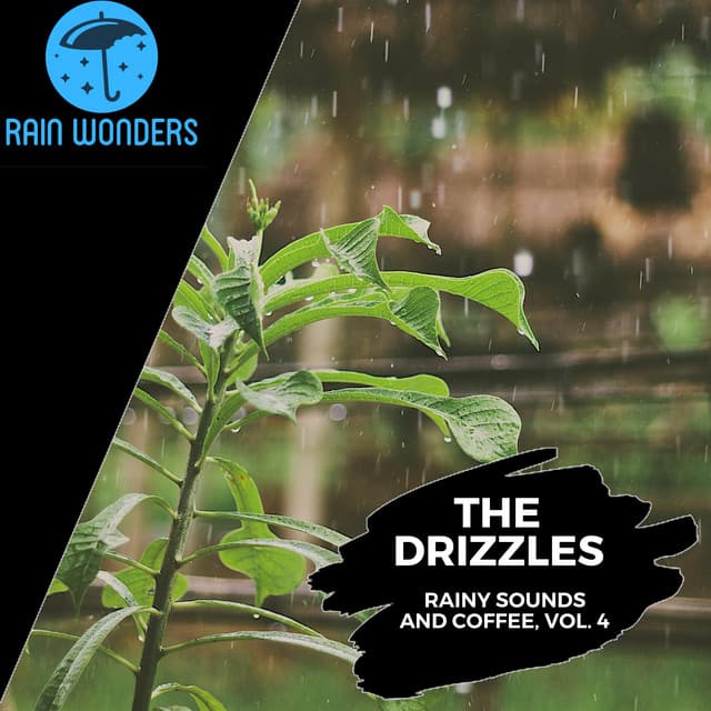 The Drizzles - Rainy Sounds and Coffee, Vol. 4 - Rain Sounds