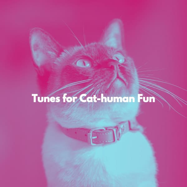 Tunes for Cat-human Fun - Música para Cocinar