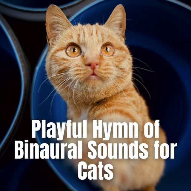 Playful Hymn of Binaural Sounds for Cats - Lovemotives