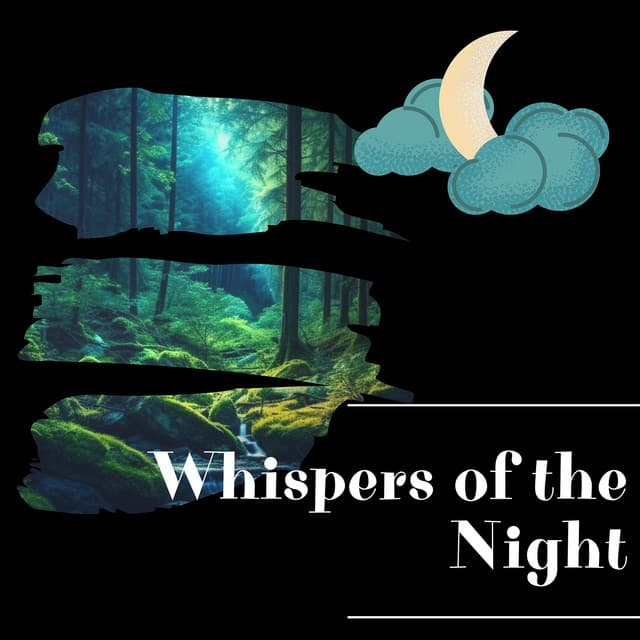 Whispers of the Night - Night Sounds Channel