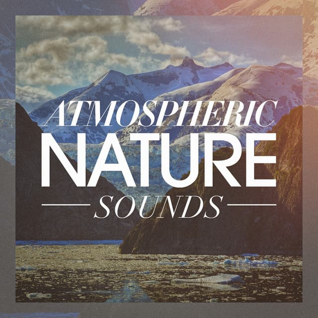 Atmospheric nature sounds - Nature Sounds