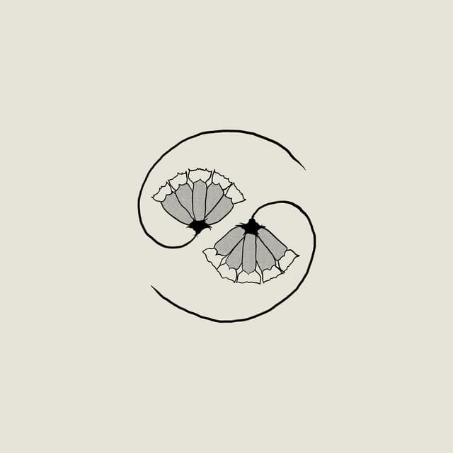 G_d's Pee AT STATE'S END! - Godspeed You! Black Emperor