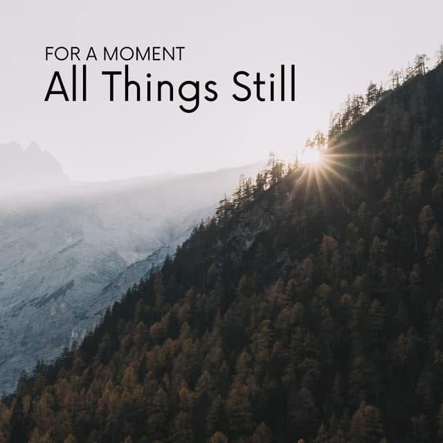 For a Moment, All Things Still - Zhang Umeda