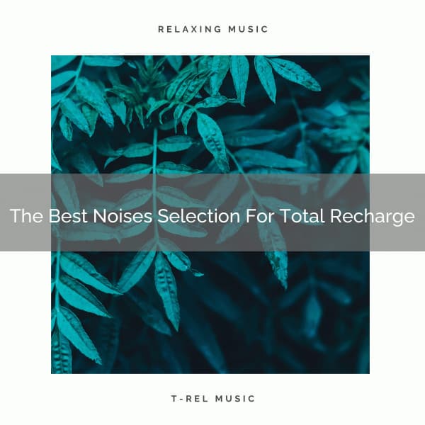 The Best Noises Selection For Total Recharge - Baby White Noise / White Noise for Babies
