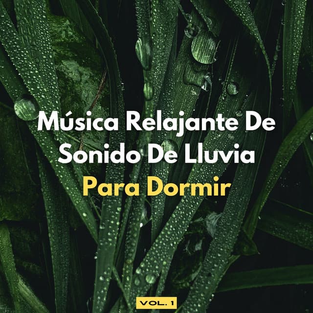 Música Relajante De Sonido De Lluvia Para Dormir, Vol. 1 - Lluvia Para Dormir Mejor