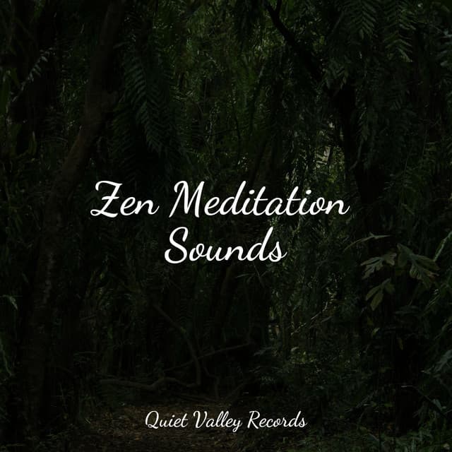 Zen Meditation Sounds - The Sleep Helpers