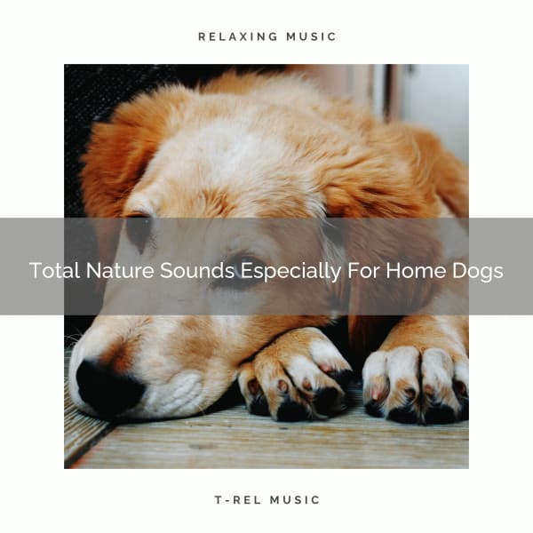 Total Nature Sounds Especially For Home Dogs - Dog Relax