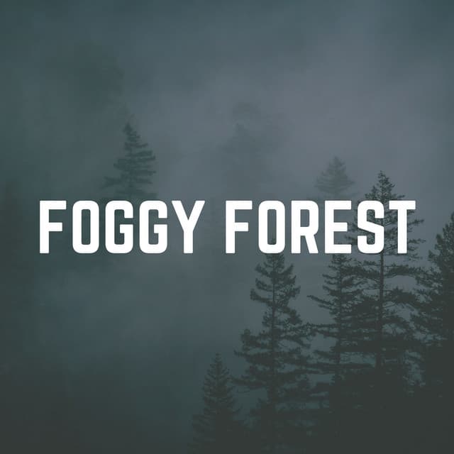 Foggy Forest - Naturalis