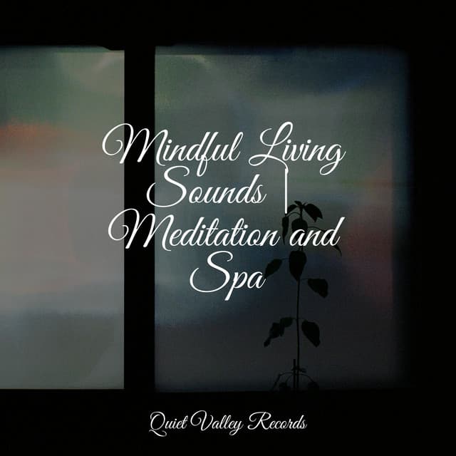 Mindful Living Sounds | Meditation and Spa - Soothing Music Academy