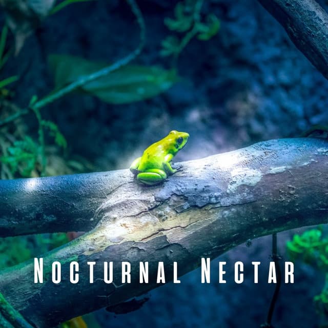 Nocturnal Nectar: Light Rain and Frog Melodies for Sleep - Night Crickets