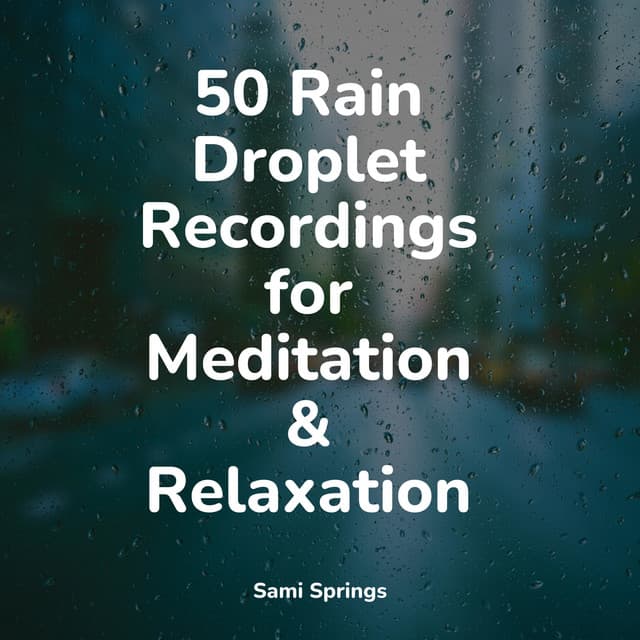 50 Rain Droplet Recordings for Meditation & Relaxation - Sonido Del Bosque y Naturaleza