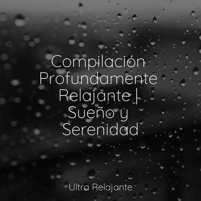 Compilación Profundamente Relajante | Sueño y Serenidad - Música Zen Relaxante
