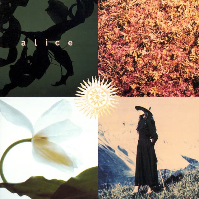 Mezzogiorno Sulle Alpi - Alice