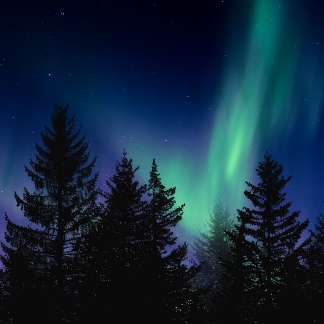 Velvet Midnight - Milli Davis