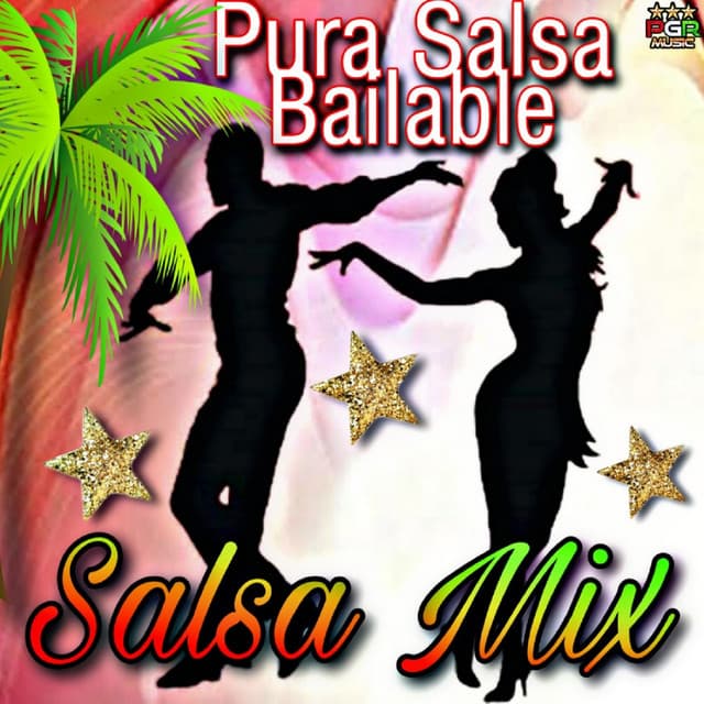 Pura Salsa Bailable - Salsa Mix