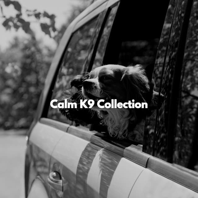 Calm K9 Collection - Puppy Music