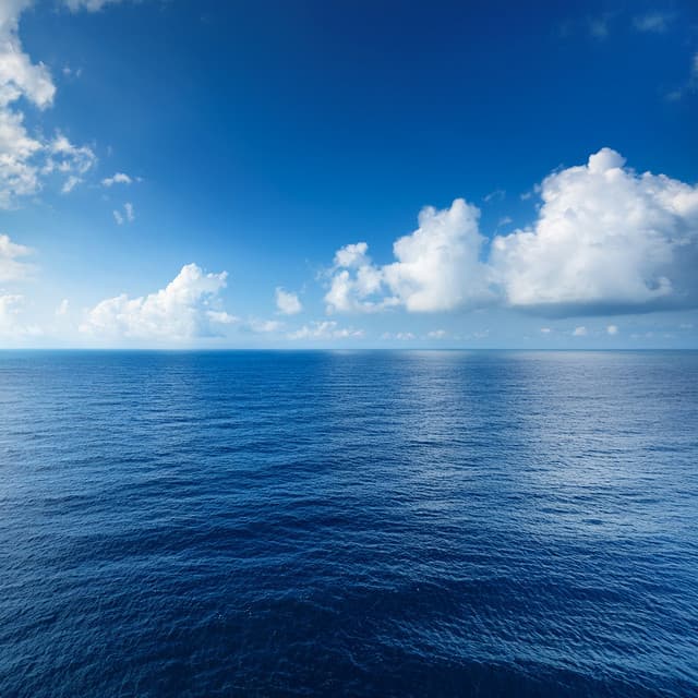 Orchestra Of Majestic Horizons: Grand Symphonies For The Spirit - Lee Rosangela