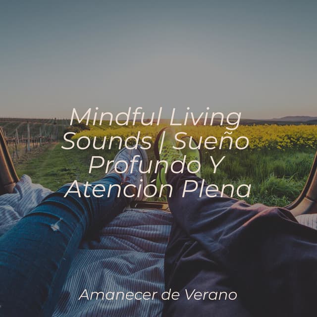 Mindful Living Sounds | Sueño Profundo Y Atención Plena - Musica Relajante & Yoga