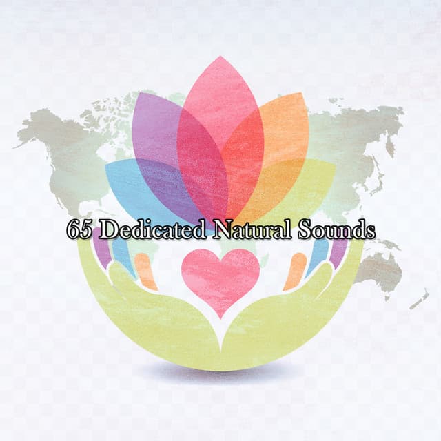 65 Dedicated Natural Sounds - Pure Massage Music
