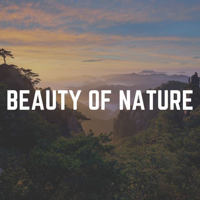 Beauty of Nature - Natures Orchestra