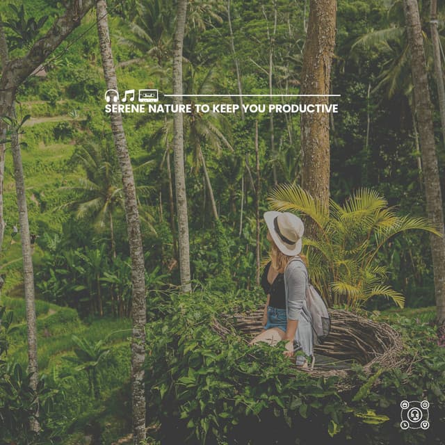 Serene Nature to Keep You Productive - Nature Sound Collection