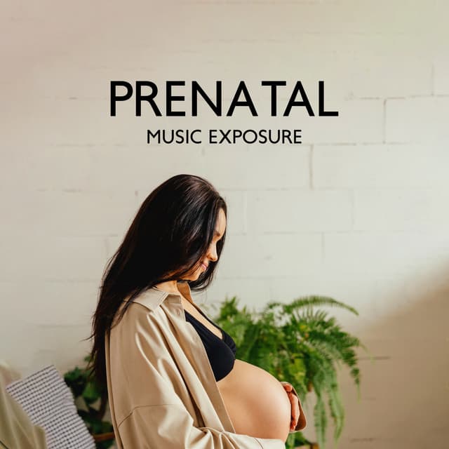 Prenatal Music Exposure: Calm Sounds for Early Development of a Baby and Relaxed Mother - Peaceful Pregnancy Musical Kit