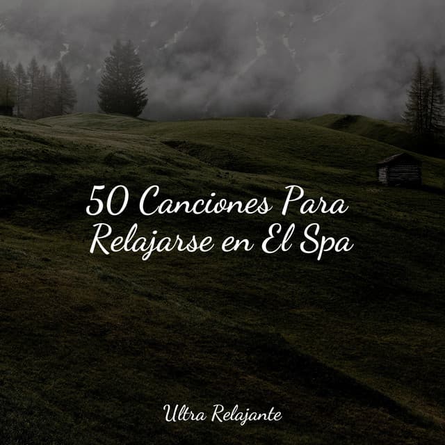 50 Canciones Para Relajarse en El Spa - Música para Relajarse Profundamente