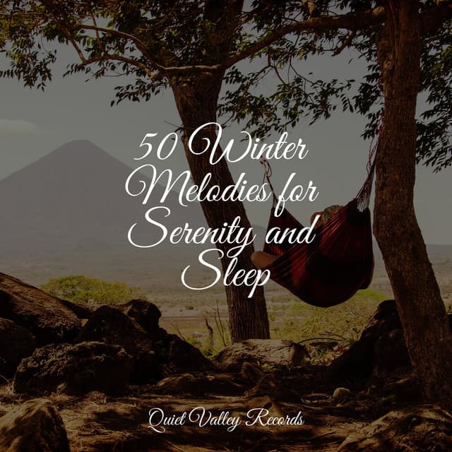 50 Winter Melodies for Serenity and Sleep - Nature Recordings