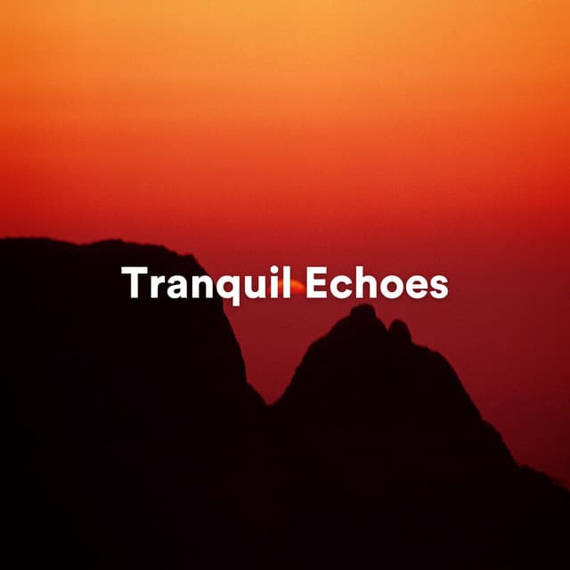 Tranquil Echoes: Ambient Sounds for Meditation and Relaxation - Reiki Warmth