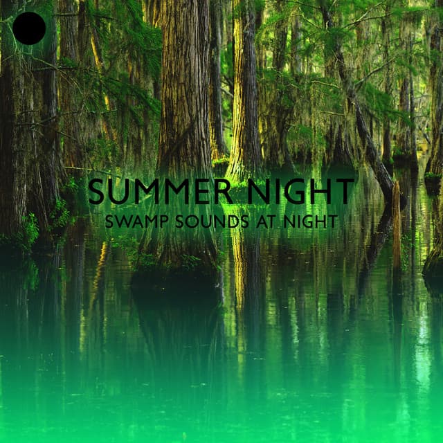 Summer Night: Music for Meditation & Relaxation with Sound of Crickets, Swamp Sounds at Night, Frogs, Forest Nature - Mothers Nature Music Academy